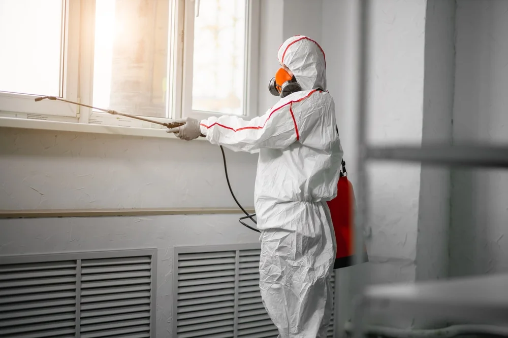 Professional mold remediation services in Augusta, NJ